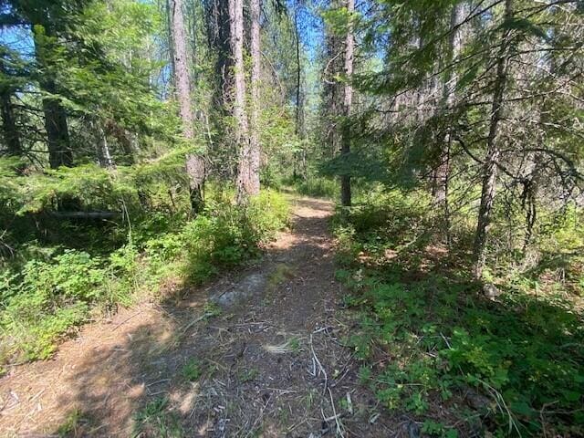 158 Teal Rd, Usk, WA 99180 - view of wooded area