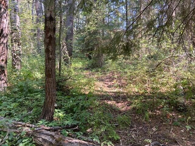 158 Teal Rd, Usk, WA 99180 - view of wooded area