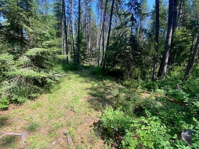 158 Teal Rd, Usk, WA 99180 - view of wooded area