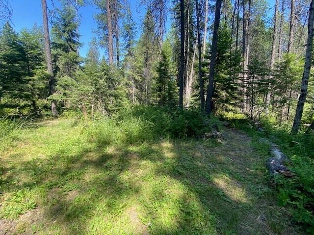 158 Teal Rd, Usk, WA 99180 - view of wooded area