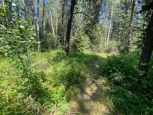 158 Teal Rd, Usk, WA 99180 - view of woods