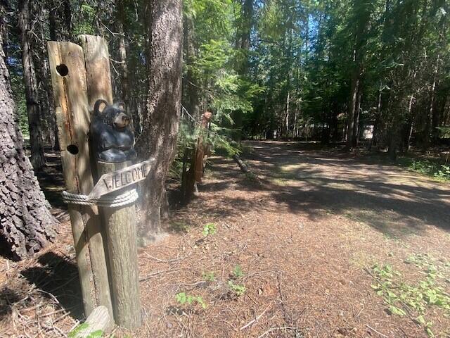 158 Teal Rd, Usk, WA 99180 - view of street featuring a forest view
