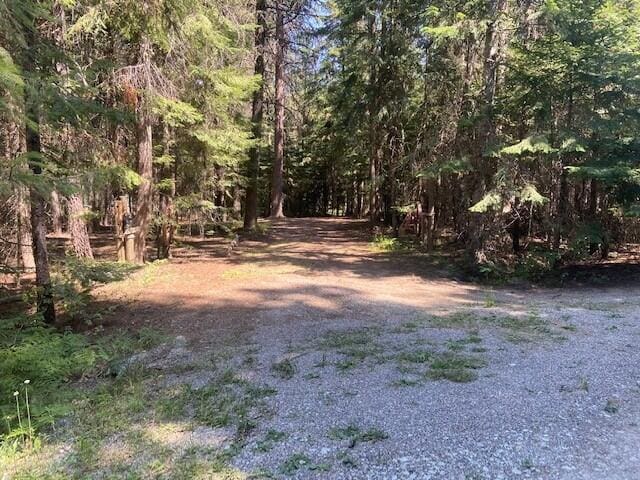 158 Teal Rd, Usk, WA 99180 - view of woods