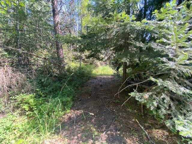 158 Teal Rd, Usk, WA 99180 - view of local wilderness
