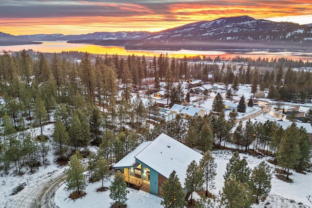 snowy aerial view featuring a mountain view