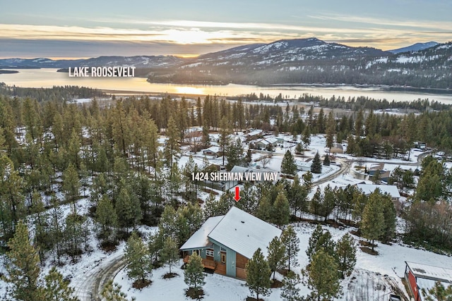 snowy aerial view with a mountain view