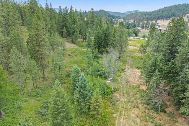 762 Mahoney Rd, Colville, WA 99114 - photo 62