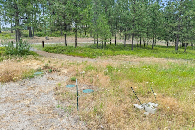 762 Mahoney Rd, Colville, WA 99114 - photo 64