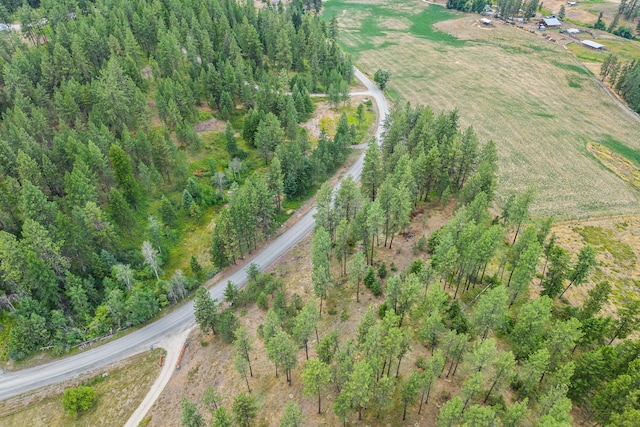 762 Mahoney Rd, Colville, WA 99114 - photo 61