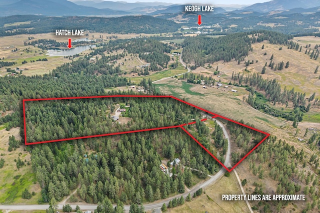 762 Mahoney Rd, Colville, WA 99114 - photo 5