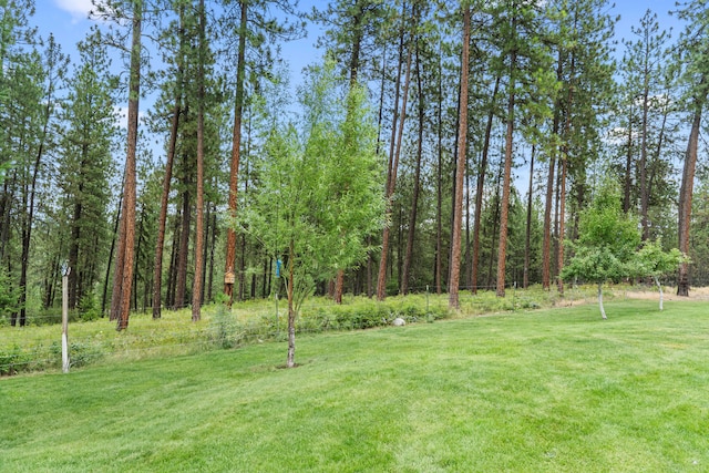 762 Mahoney Rd, Colville, WA 99114 - photo 51