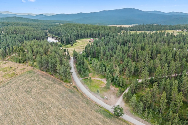 762 Mahoney Rd, Colville, WA 99114 - photo 60