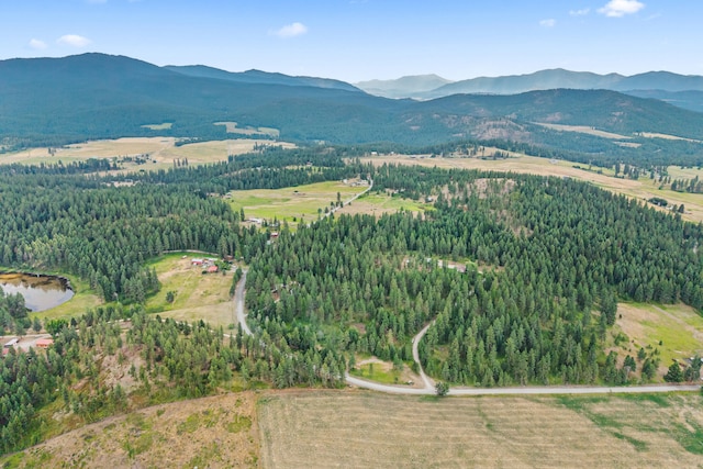 762 Mahoney Rd, Colville, WA 99114 - photo 67