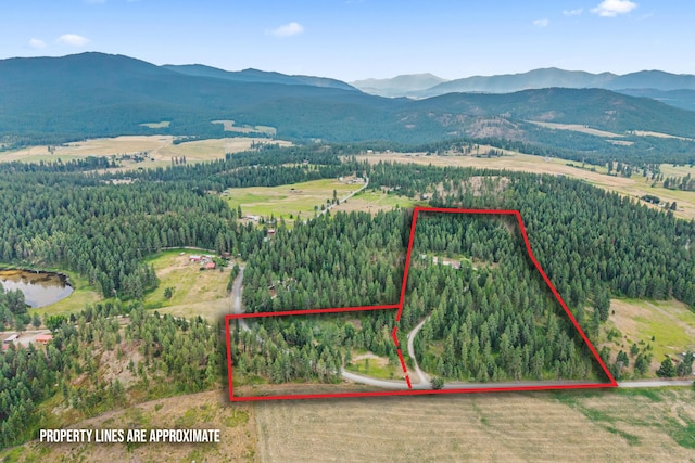 762 Mahoney Rd, Colville, WA 99114 - photo 68