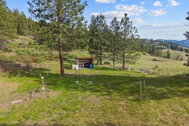 40 Happy Jack Rd, Curlew, WA 99118 - view of grassy yard featuring a mountain view and an outdoor structure