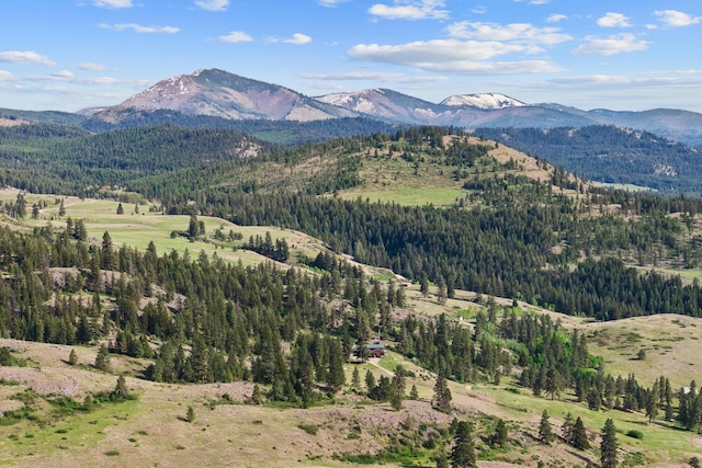 40 Happy Jack Rd, Curlew, WA 99118 - view of mountain backdrop with a forest