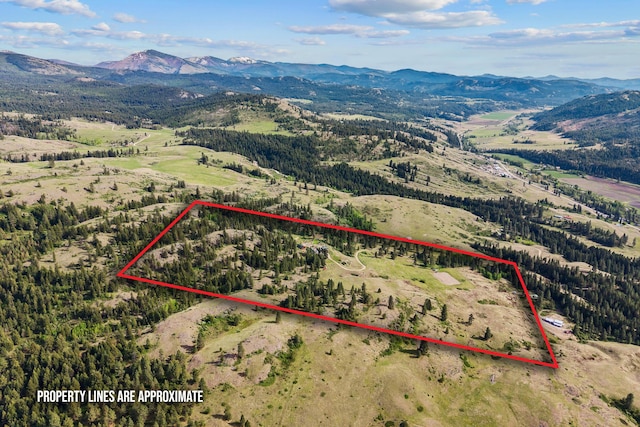 40 Happy Jack Rd, Curlew, WA 99118 - aerial overview of property's location featuring a mountainous background and property boundaries highlighted