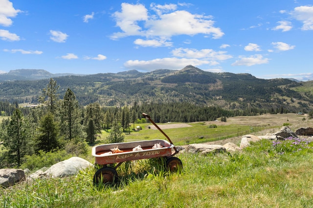 40 Happy Jack Rd, Curlew, WA 99118 - mountain view featuring a forest
