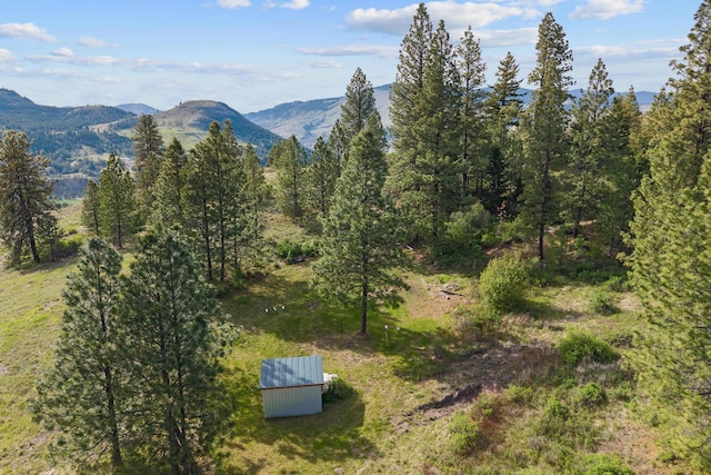 40 Happy Jack Rd, Curlew, WA 99118 - view of mountain background