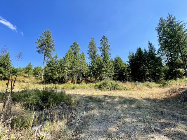 2599F Scott Rd, Rice, WA 99167 - photo 24