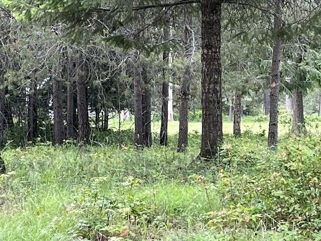 LOT12 Hogans Way, Chewelah, WA 99109