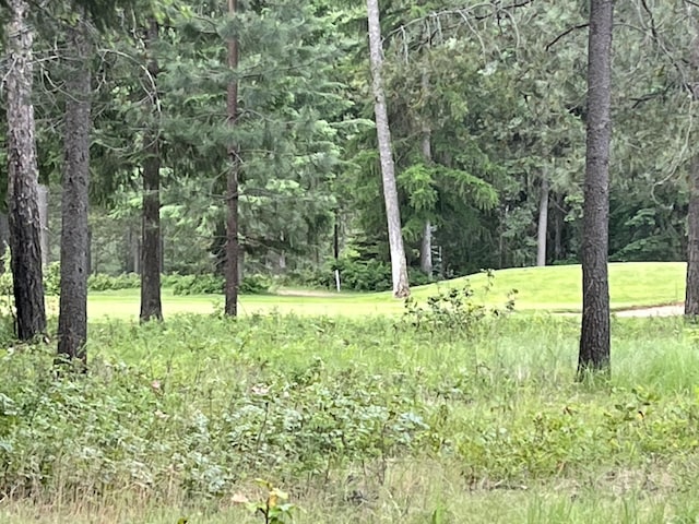 LOT12 Hogans Way, Chewelah, WA 99109
