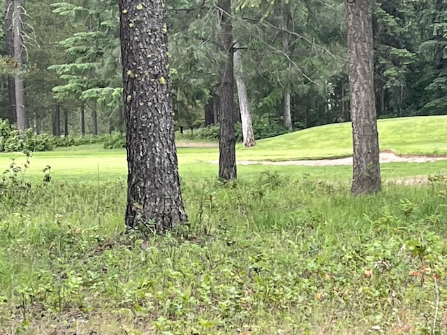 LOT12 Hogans Way, Chewelah, WA 99109