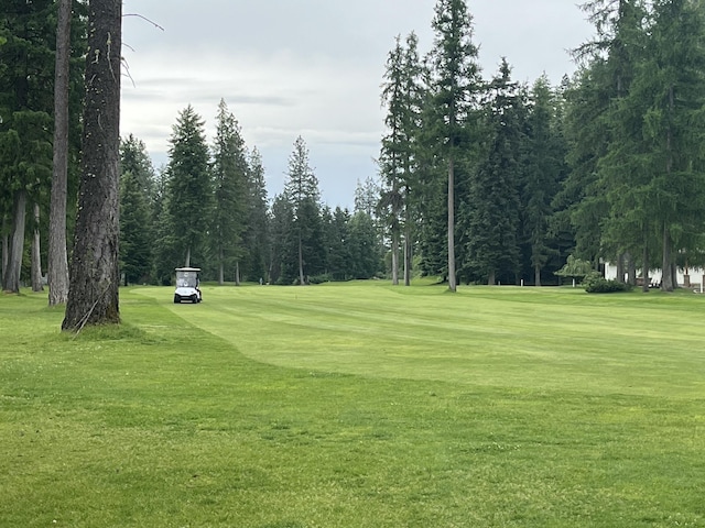 LOT12 Hogans Way, Chewelah, WA 99109