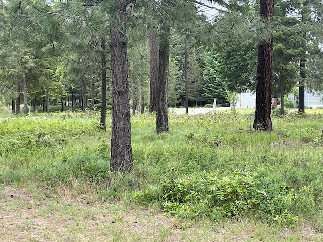 LOT12 Hogans Way, Chewelah, WA 99109