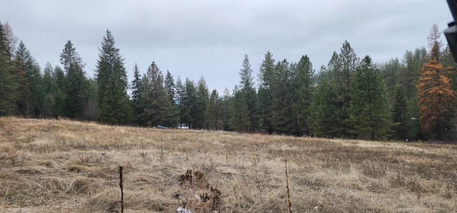 1527 Pingston Creek Rd, Kettle Falls, WA 99141 - view of nature featuring a view of trees
