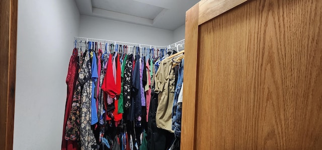1527 Pingston Creek Rd, Kettle Falls, WA 99141 - spacious closet with attic access