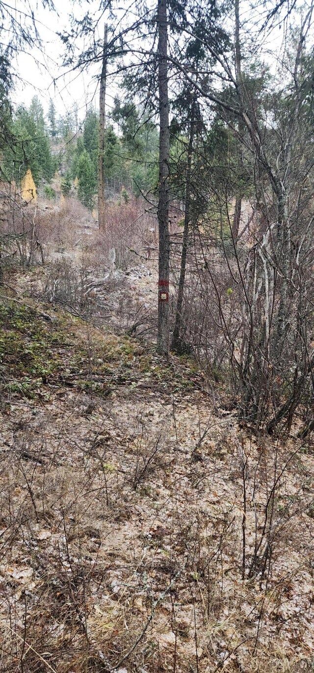 1527 Pingston Creek Rd, Kettle Falls, WA 99141 - view of local wilderness