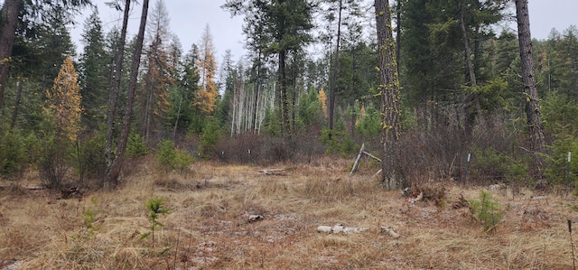 1527 Pingston Creek Rd, Kettle Falls, WA 99141 - view of landscape featuring a wooded view