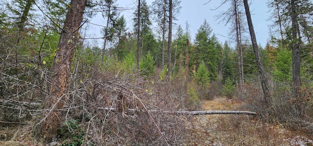 1527 Pingston Creek Rd, Kettle Falls, WA 99141 - view of nature with a view of trees