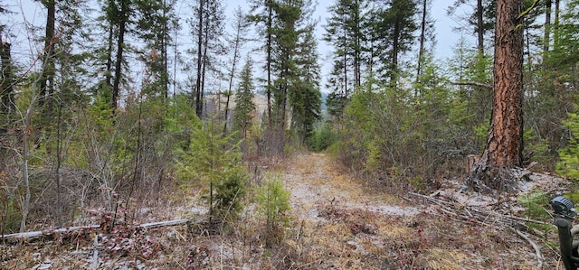 1527 Pingston Creek Rd, Kettle Falls, WA 99141 - view of nature with a view of trees