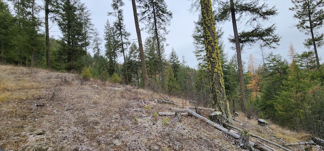 1527 Pingston Creek Rd, Kettle Falls, WA 99141 - view of nature with a wooded view