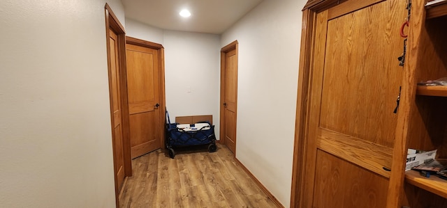 1527 Pingston Creek Rd, Kettle Falls, WA 99141 - corridor with light wood-style floors