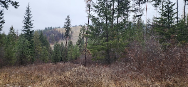 1527 Pingston Creek Rd, Kettle Falls, WA 99141 - view of nature featuring a wooded view