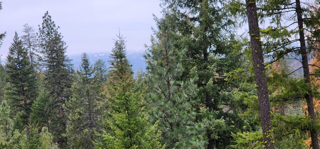 1527 Pingston Creek Rd, Kettle Falls, WA 99141 - view of nature with a wooded view