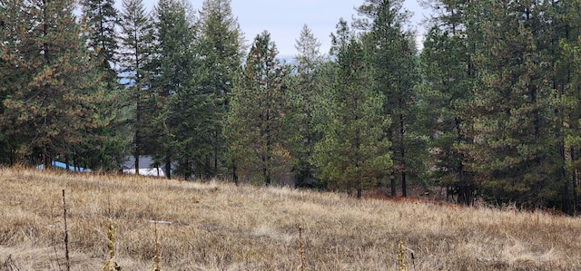 1527 Pingston Creek Rd, Kettle Falls, WA 99141 - view of nature featuring a wooded view
