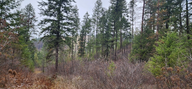 1527 Pingston Creek Rd, Kettle Falls, WA 99141 - view of nature with a wooded view