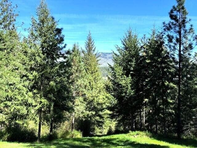1599 Coyote Way, Evans, WA 99126 - photo 41