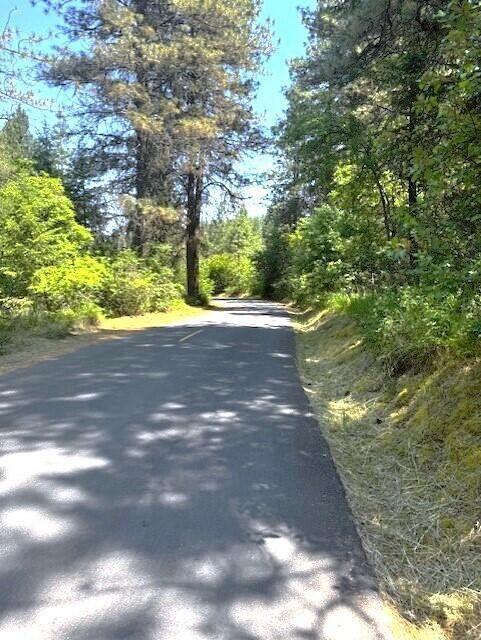 1599 Coyote Way, Evans, WA 99126 - photo 49