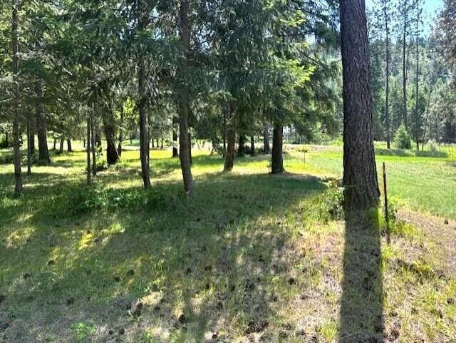 1599 Coyote Way, Evans, WA 99126 - photo 34