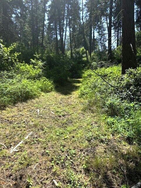 1599 Coyote Way, Evans, WA 99126 - photo 46