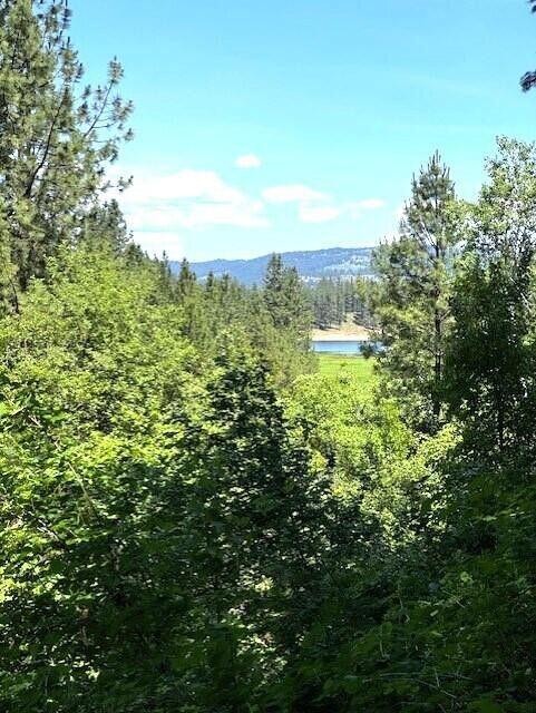 1599 Coyote Way, Evans, WA 99126 - photo 42