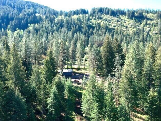 1599 Coyote Way, Evans, WA 99126 - photo 4