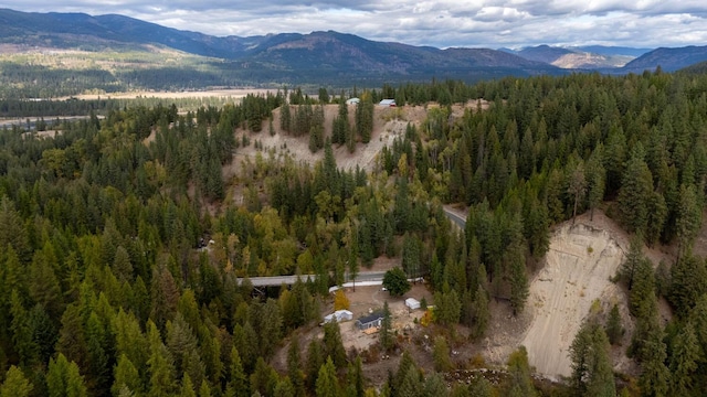 property view of mountains