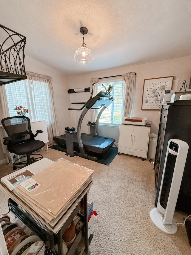 6270 W Bluebird Way, Deer Park, WA 99006 - photo 36