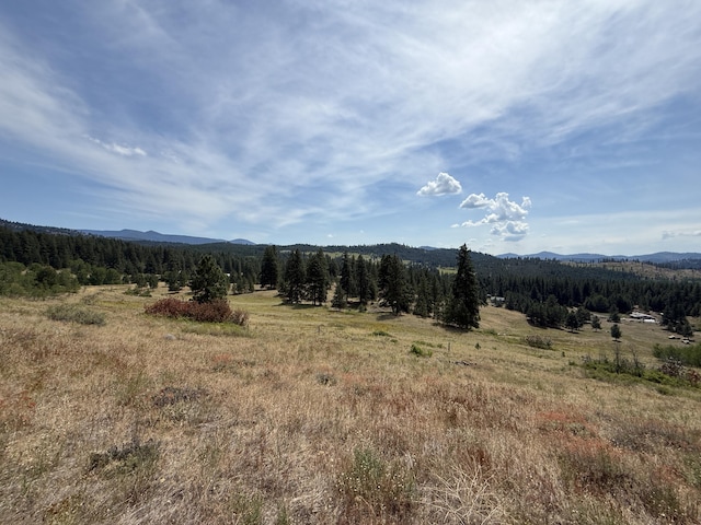 TBD Seth Ln, Republic, WA 99166 - photo 2